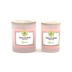 Scented candles - Tigerlily & Melon