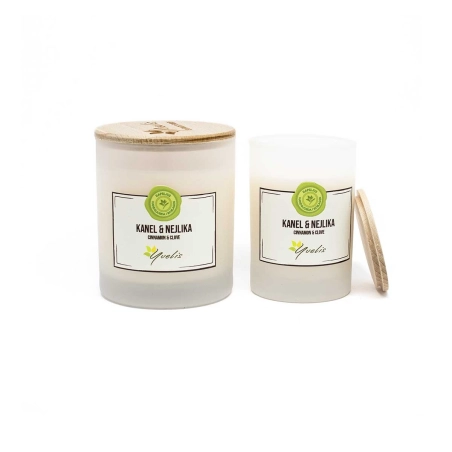Cinnamon & Clove - Ecofriendly scented candle