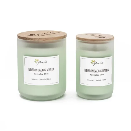 Morning Dew & Mint