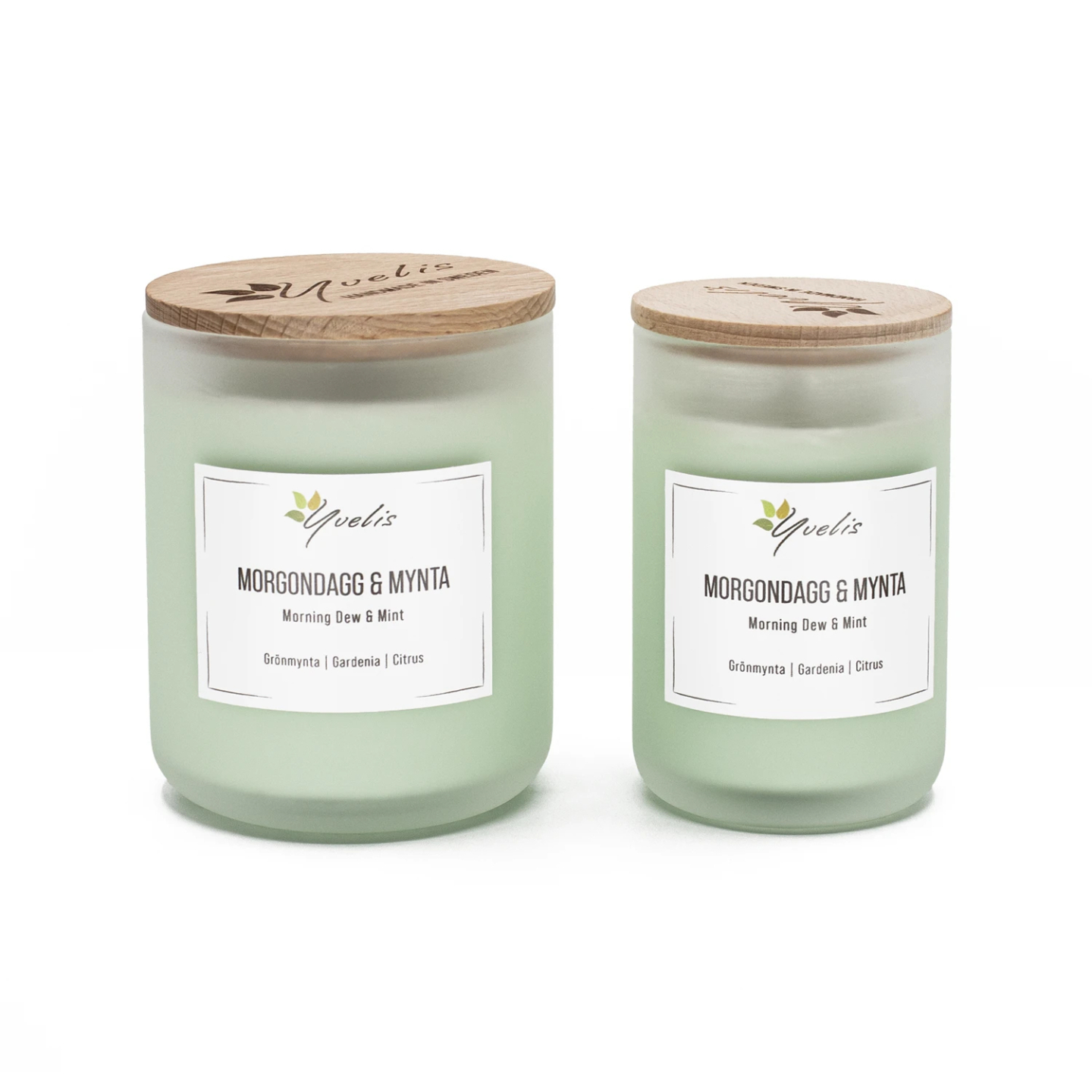 Morning Dew & Mint