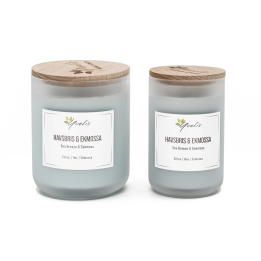 Sea Breeze & Oak Moss