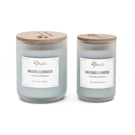 Sea Breeze & Oak Moss