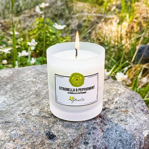 Sandalwood & Musk scented candle