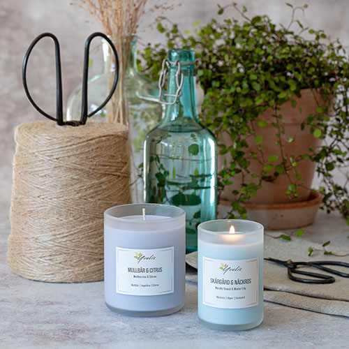 Sandalwood & Musk scented candle